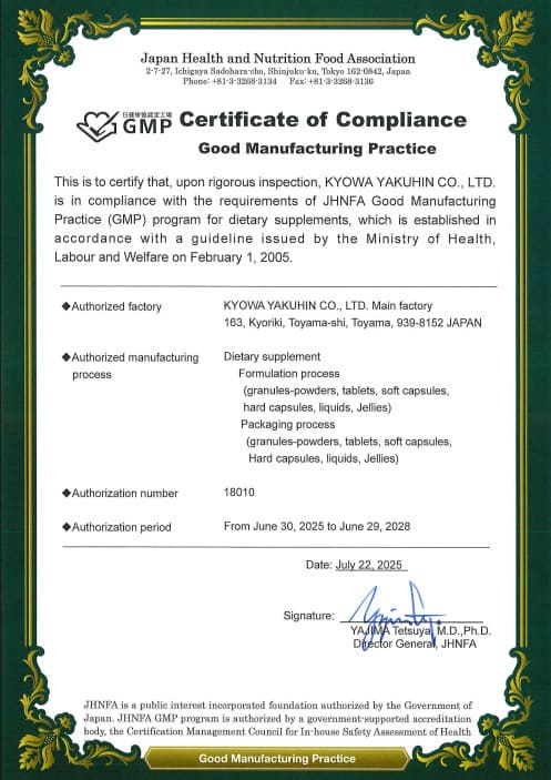 GMP（A4）