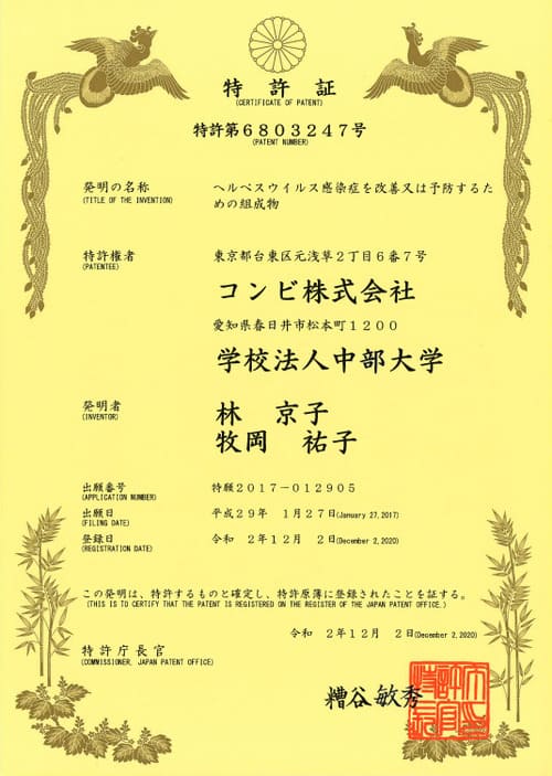 特許（A4）